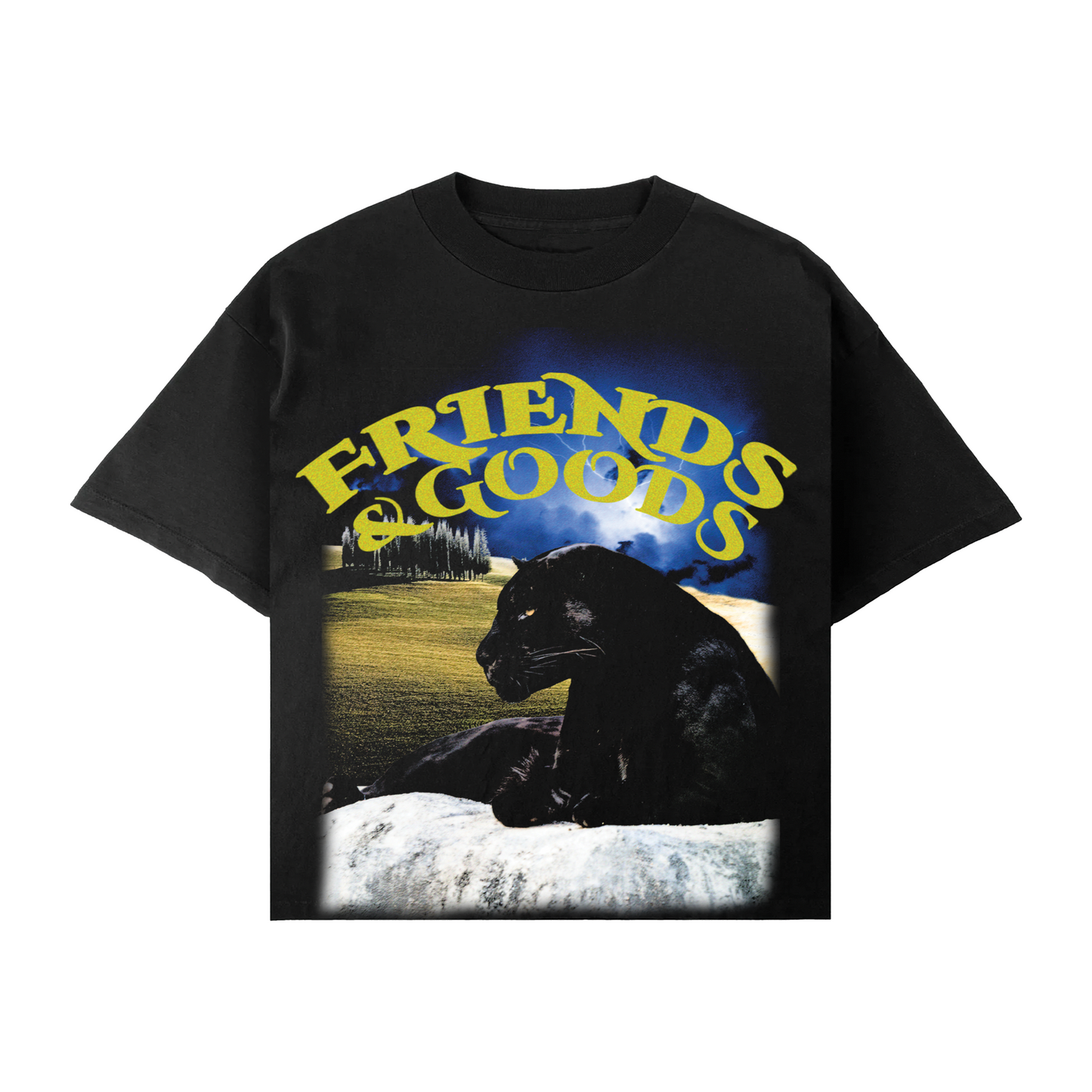 PANTHER CROPPED TEE